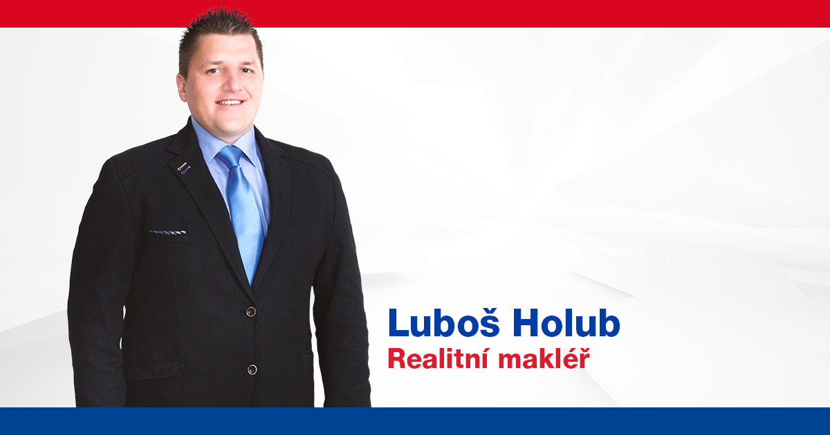 lubos holub seo